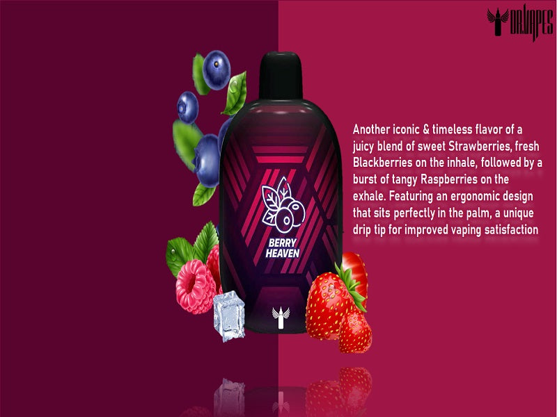 DR Vapes Panther Bar Berry Heaven  50 Mg