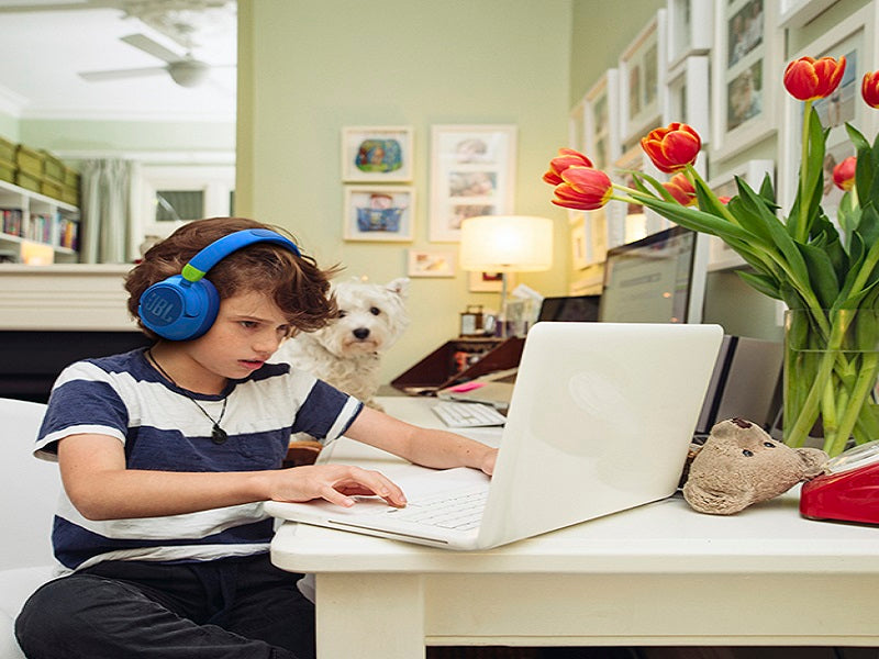 JBL Jr460 Wireless Headphone With Mic