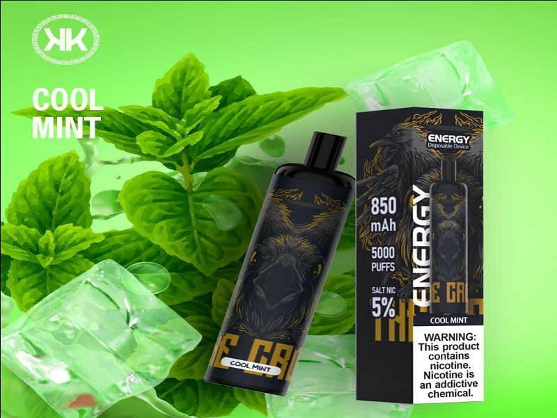 KK Energy Dispo 5000 Puff Cool Mint 50Mg