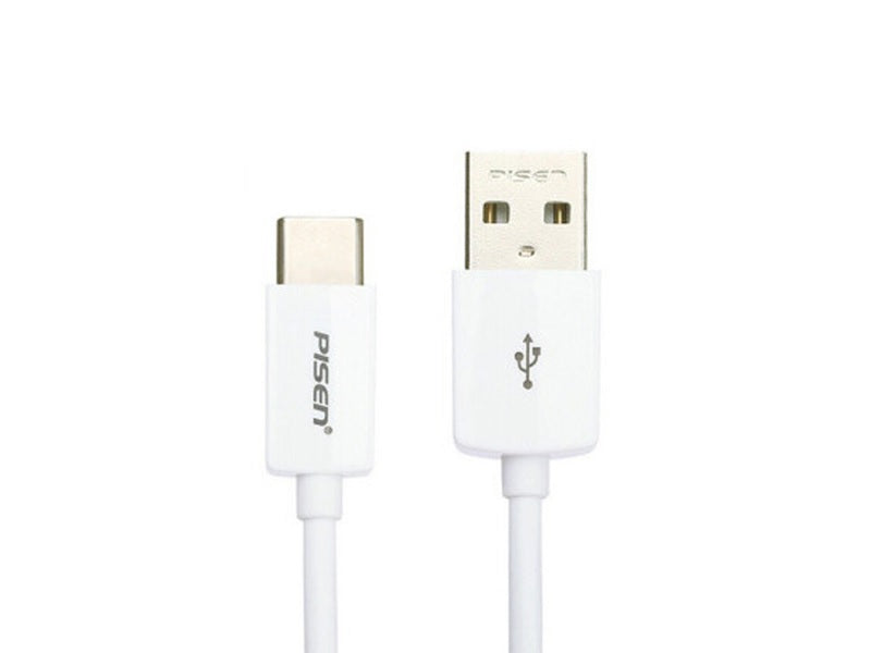 PISEN Fastcharging Data Cable For Type C