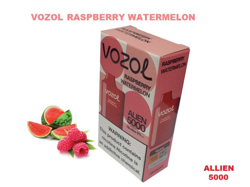 VOZOL Alien 5000 Disp Raspberry Watermel