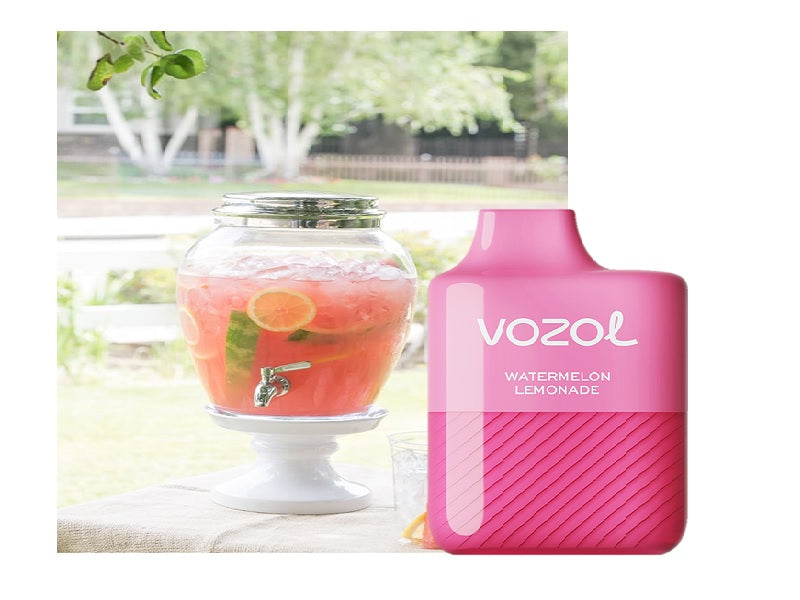 VOZOL Alien 5000 Disp Watermelon Lemonad