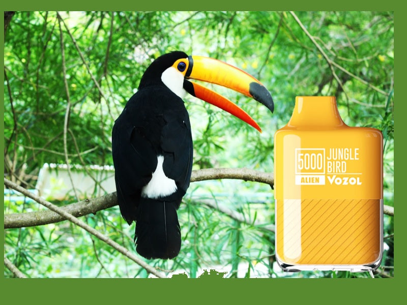 VOZOL 5000 Puff Dispos Jungle Bird  5%