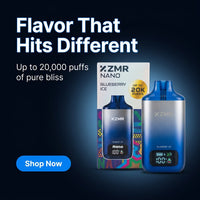 Zmr Nano Blueberry Ice dispos 20K – view 4