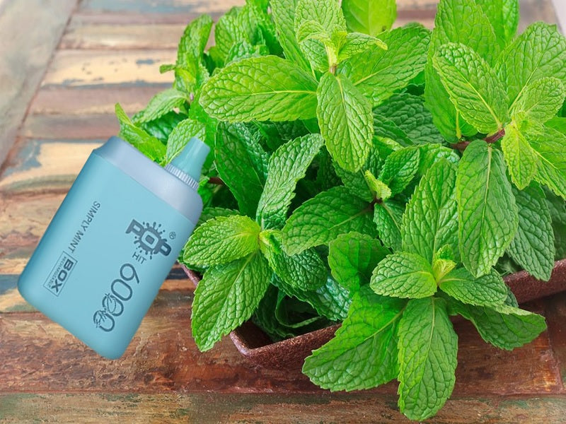 POPHIT Simply Mint   6000