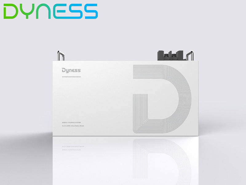 Dyness Dl2.5 24V Dc 2.56Kwh Lithium Bat