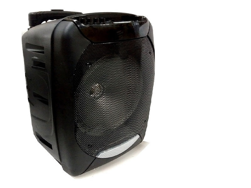 12" Trolly Speaker Wireless +Mic+Remote