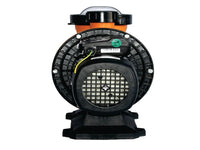 REDRHINO Swimming Pool Pumps