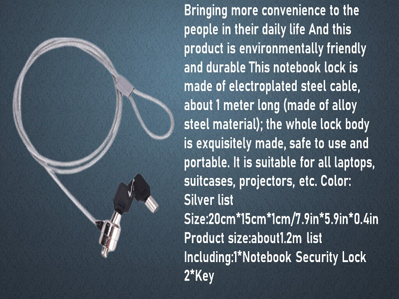 PINGCOOL Laptop Lock With Key