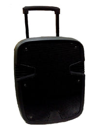 12" Trolly Speaker Wireless +Mic+Remote