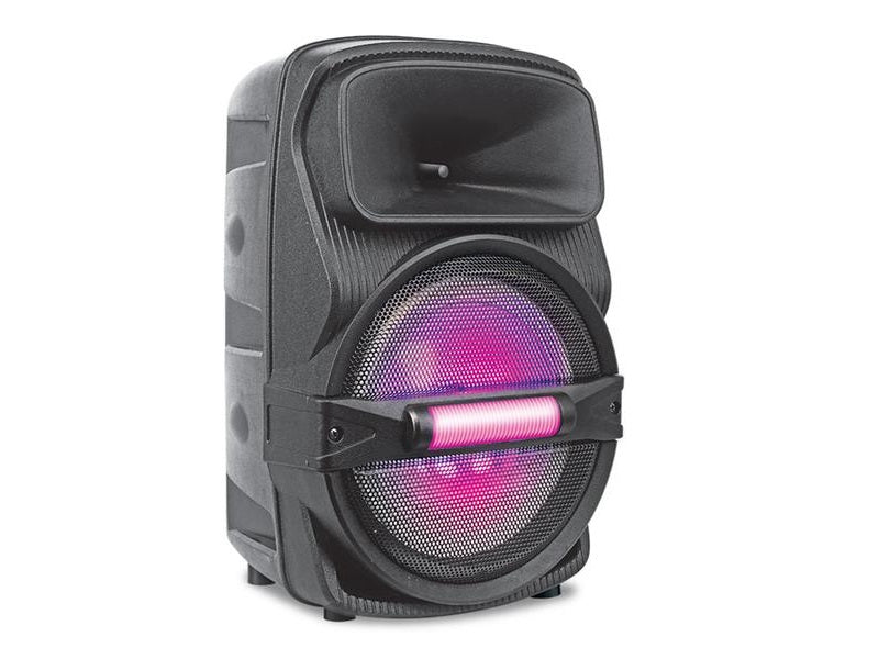 AUDIONIC Portable 8" Speaker