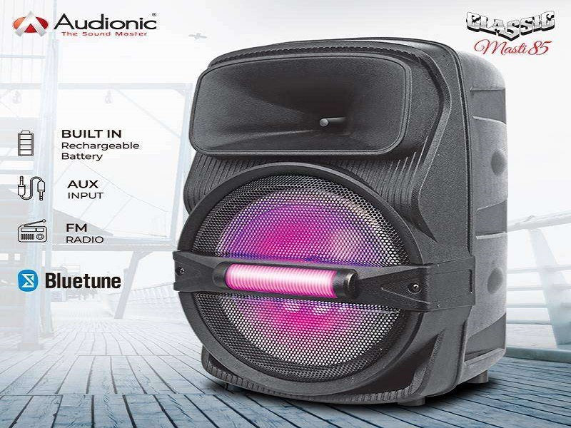 AUDIONIC Portable 8" Speaker