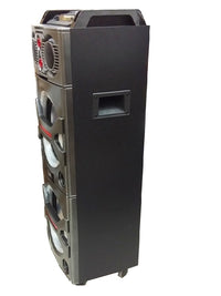 10" X 2 Trolly Spk  Wireless +Mic+Remote