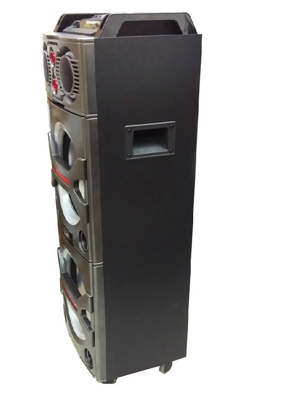 10" X 2 Trolly Spk  Wireless +Mic+Remote
