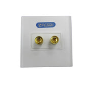 WALL Plug Socket Mic Female Socket