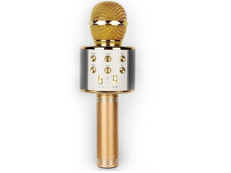 WSTER Wireless Microphone Hifi Speaker