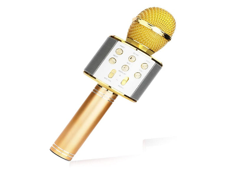 WSTER Wireless Microphone Hifi Speaker