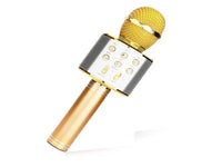 WSTER Wireless Microphone Hifi Speaker