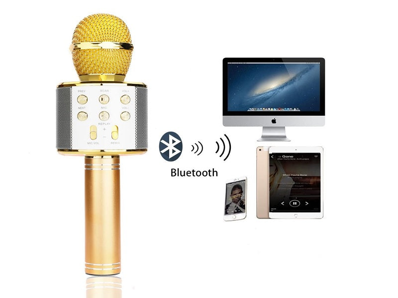 WSTER Wireless Microphone Hifi Speaker