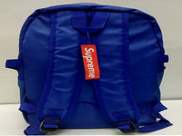ZATECH 076 Grey-Blu-Blk-Pink Back Pack