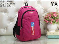 ZATECH 2660 Grey-Blu-Blk-Pink Back Pack