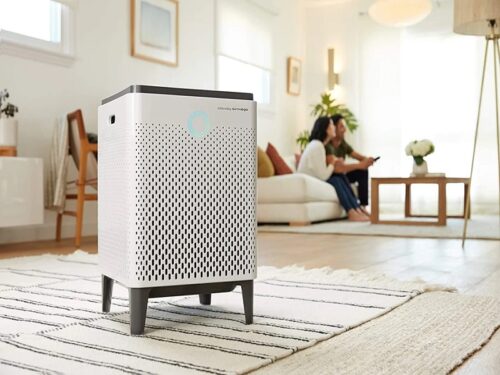 PURIFIERS & DIFFUSERS